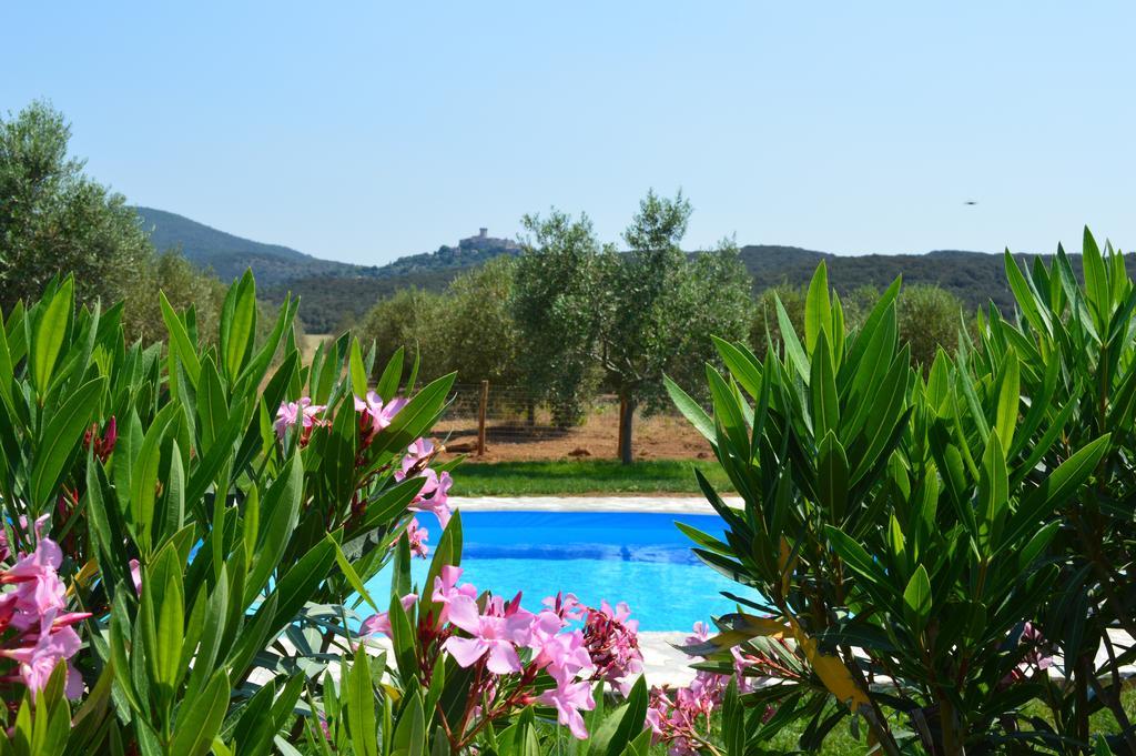Agriturismo Il Portico 卡帕尔比奥 外观 照片