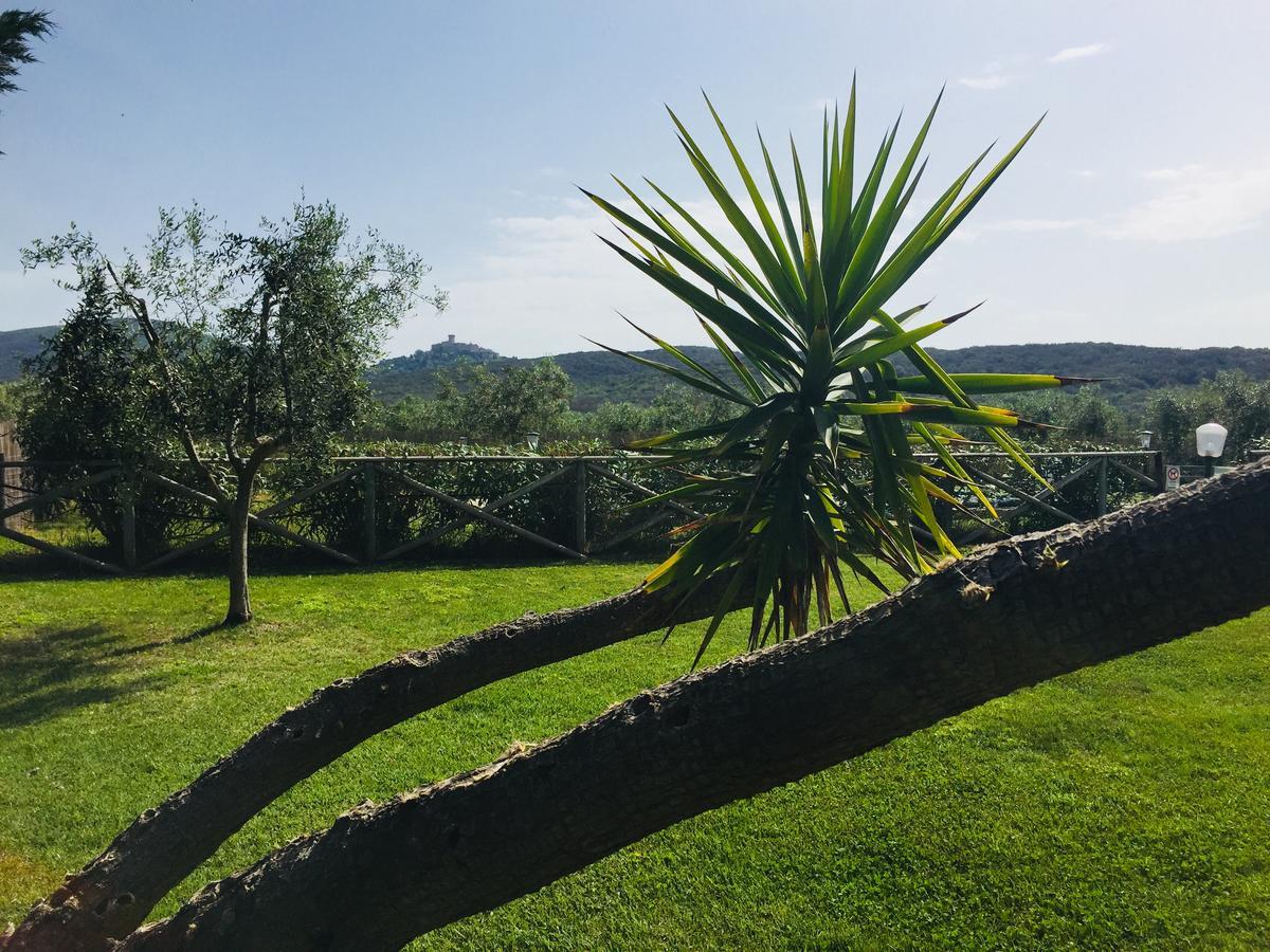 Agriturismo Il Portico 卡帕尔比奥 外观 照片